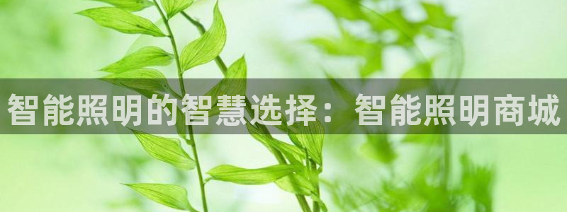 云顶国际装饰设计公司
