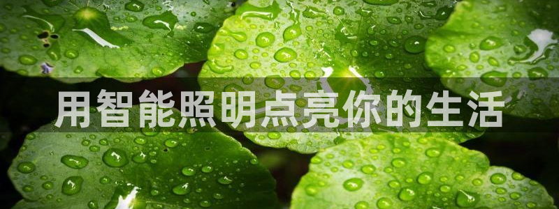 云顶国际服和端游互通吗