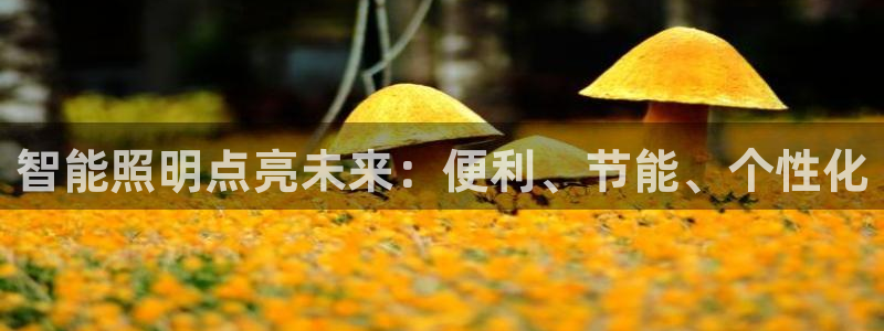 云顶国际百度百科