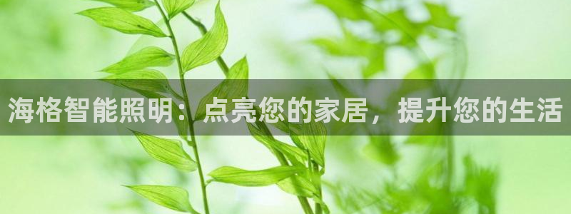 云顶集团网页