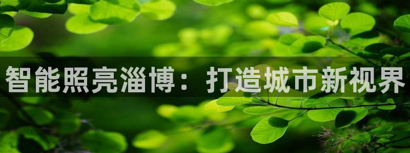 云顶国际网站能玩吗