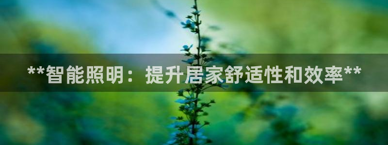 云顶国际nba智库