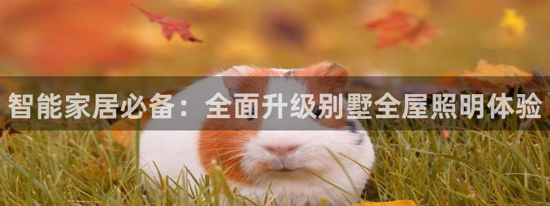 云顶集团网投领头