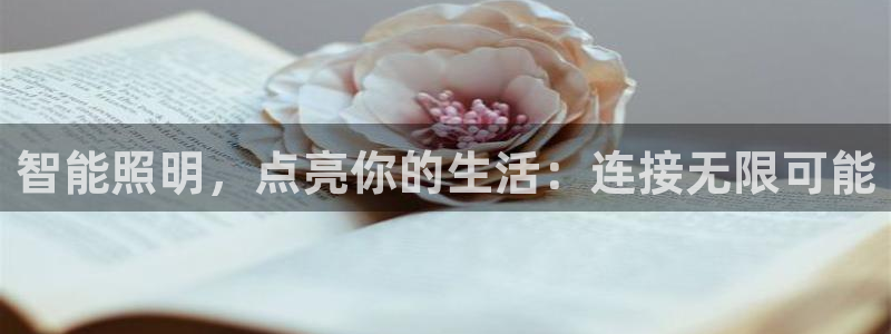 云顶集团网站app下载安装