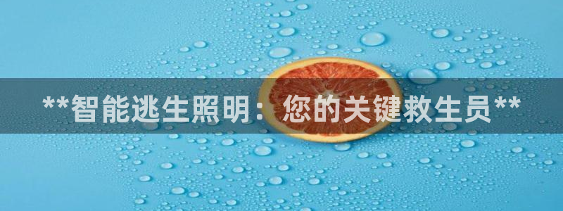 云顶国际物流