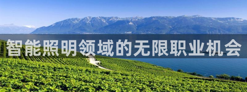 云顶国际区块链怎么样啊