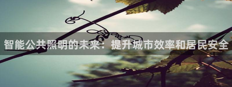 云顶国际服哪个服人多