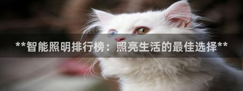 云顶28官网下载