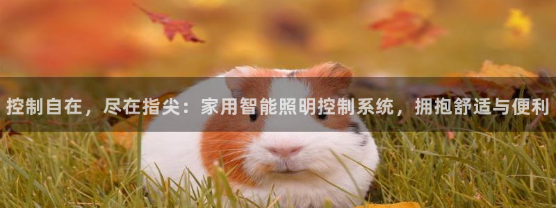 云顶国际测试服免费领取