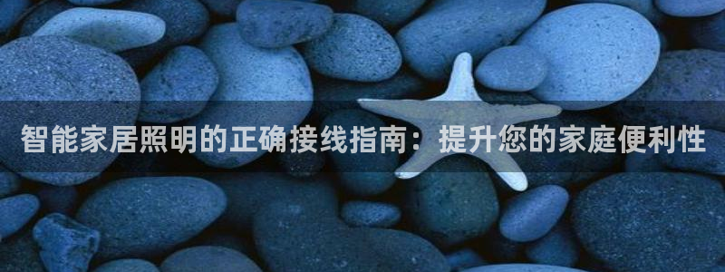 云顶国际婚礼大酒店位于哪里的