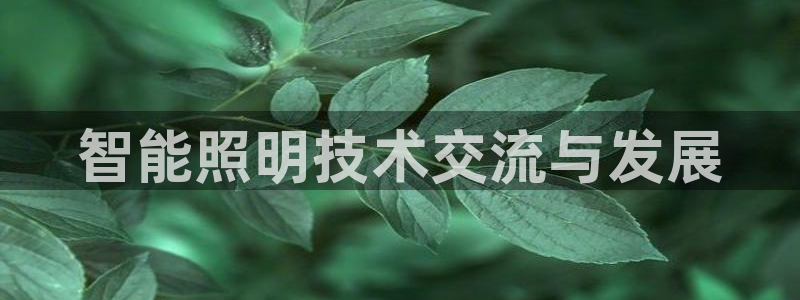 云顶国际app怎么样