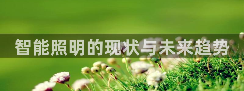 云顶国际的客服几点在线