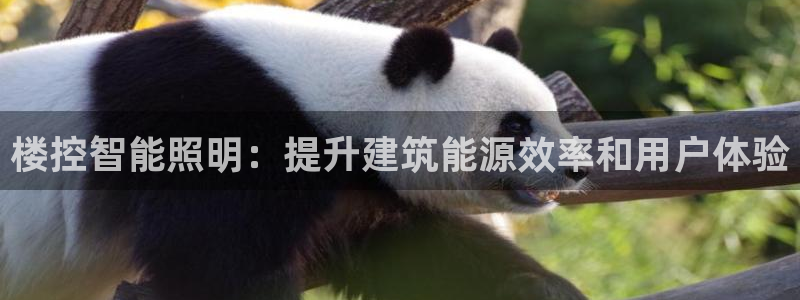 云顶国际电子游戏官网