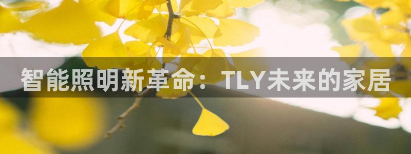 云顶国际赌彩公司下载