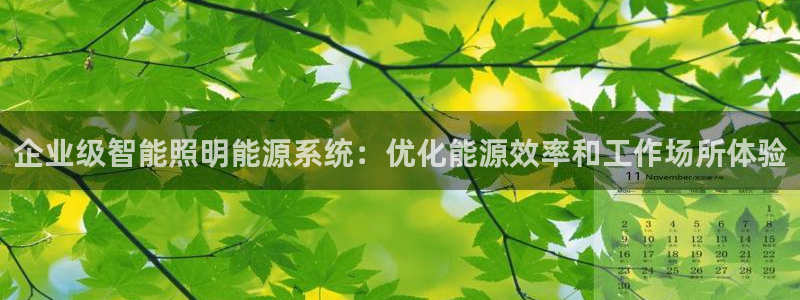 云顶国际城手机网址查询