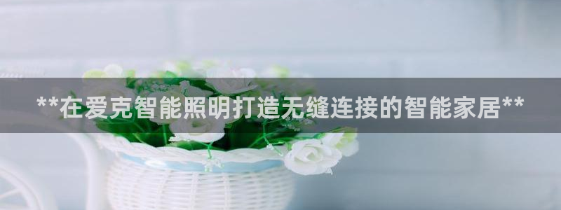 云顶国际晟荣协会高峰