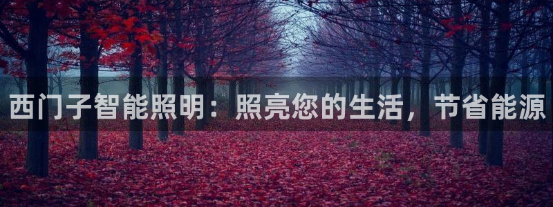 云顶国际区块链怎么样啊