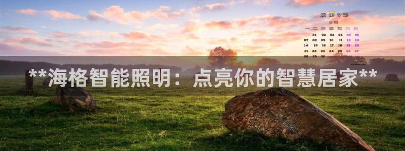 云顶国际体育官方网站入口
