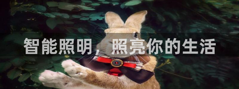 云顶国际服更新了吗