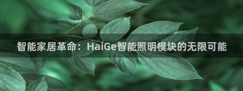 云顶国际pg网站