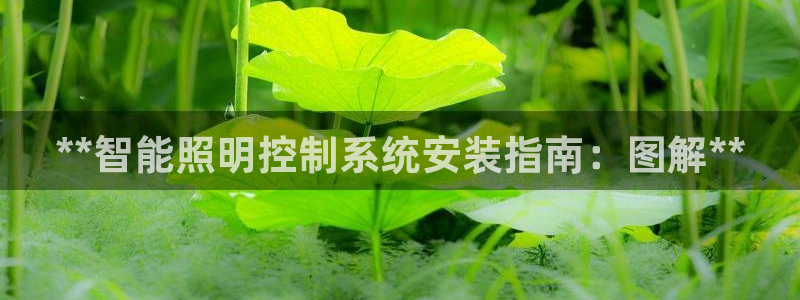 云顶国际体育
