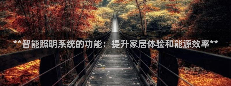 云顶国际官方网站入口