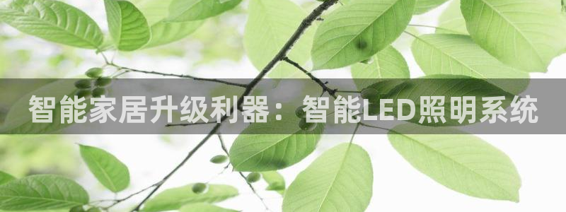 云顶国际酒店电话多少
