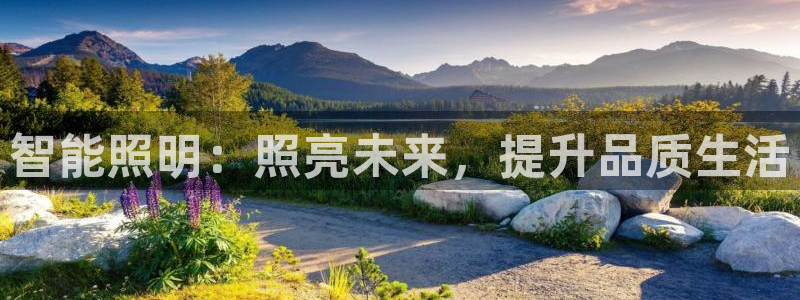 云顶新网站