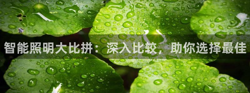 太原云顶国际酒店桑拿几楼