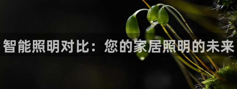 云顶国际集团io