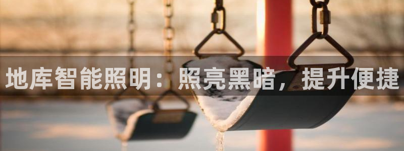 手游云顶国际服下载