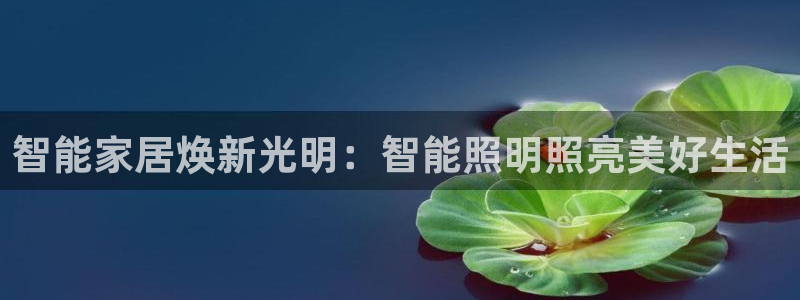 云顶国际酒店位置图