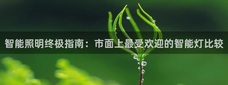 云顶国际官网登录
