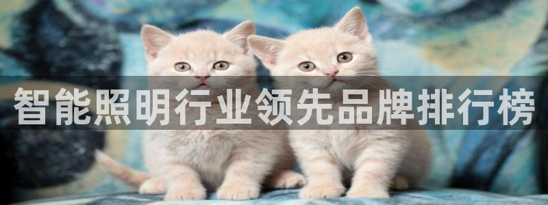 云顶集团游戏app8800