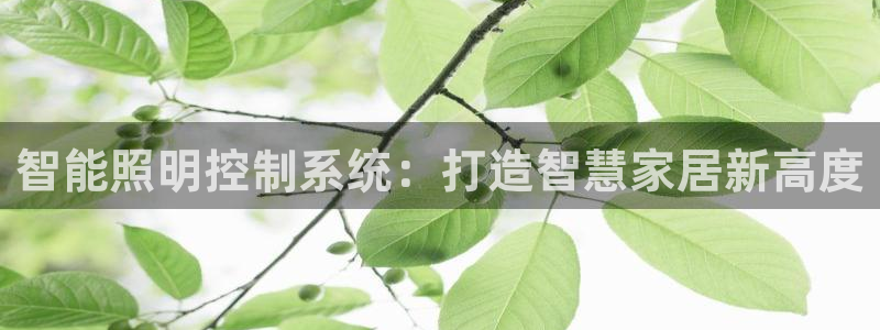 云顶国际牡丹会是什么