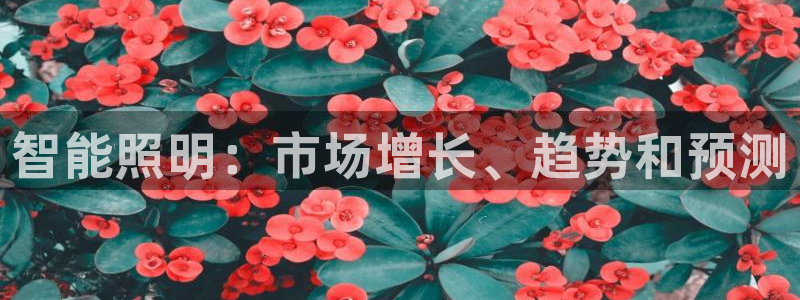 云顶国际app官方网站下载