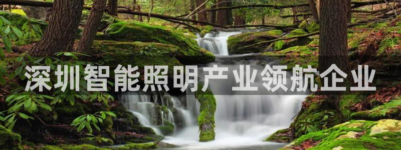 云顶国际实业有限公司