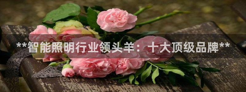 云顶国际下载安装