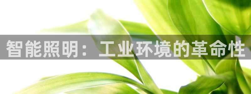 云顶国际大厦物业电话