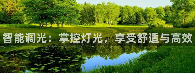 云顶国际是什么公司