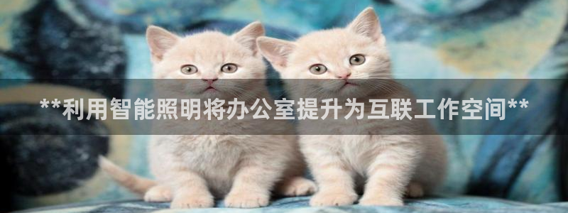 中国云顶控股集团
