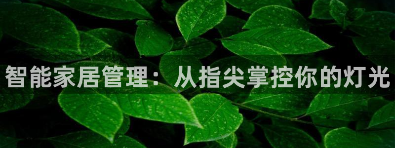 云顶游戏网站网址