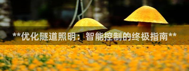 云顶国际晟荣协会会长是谁