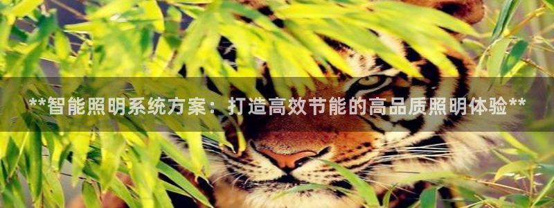 云顶国际游戏平台有哪些