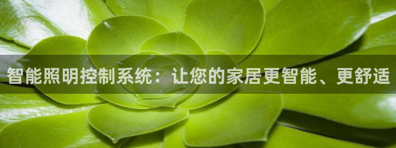 云顶国际app手机版怎么下载