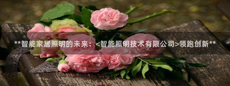 云顶国际中国官方网站下载