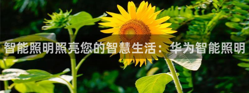 云顶国际是正规平台吗知乎