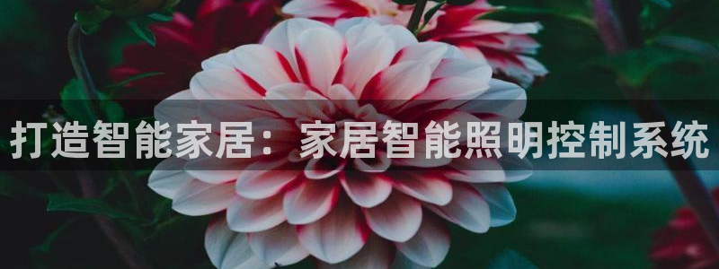 云顶国际会议中心地址