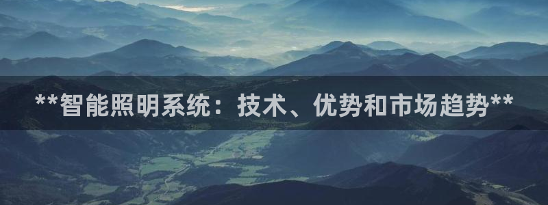 云顶国际是什么公司