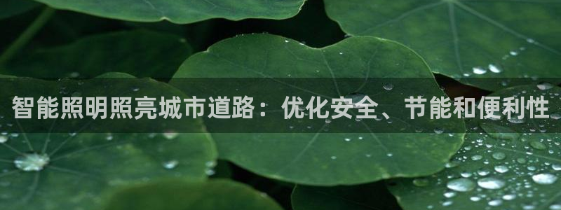云顶集团3118acm